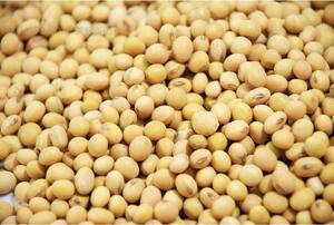 加水分解エキス中国メーカーサプライヤーバルク加水分解大豆タンパク質大豆粉末化粧品用オリゴペプチド - Product Image 6