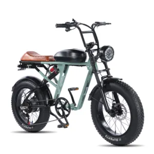 Nieuw Product Upgrade 48V 18ah 1500W Amerikaanse Versie Retro Smart Elektrische Motorfiets Fiets Mtb E Bikes