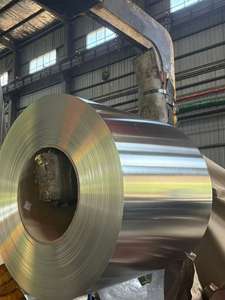 JIS G3303 SPCC MR Grade Steel Coil-Tin Plate pour couper et plier Non allié 0.2-0.5mm Epaisseur Skin Pass - Product Image 5