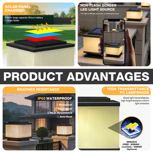 Lampes solaires LED à pilier BOHONG pour jardin, en acier inoxydable, <span class=keywords><strong>PC</strong></span> 1W AC100V-265V, étanches IP65, faisceau de 180°, pour extérieur, à poser au sol - Product Image 2