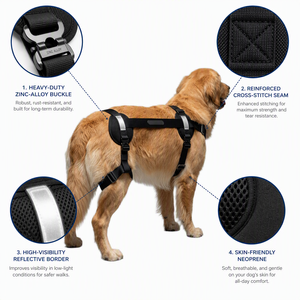 Attelle de soutien pour articulation de la hanche canine, aide à la mobilité pour chien senior, protection orthopédique haute performance, soulagement de la dysplasie, polyester solide - Product Image 4