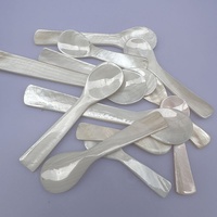Cuillères à glace en coquillage naturel, cuillères à café et à caviar, cuillères à mélanger en nacre, cuillères à thé, outils de cuisine artisanaux