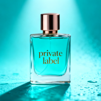 Parfum pour homme 100ml, senteur boisée longue durée, personnalisable, de votre propre marque, atomiseur pressurisé, senteur arabe intense et tropicale.
