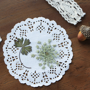 ZS025 Plantes séchées, fleurs pressées, verdure et fougères pour décorations de Noël et de remise de diplôme, pour la création de savons, bougies, cadres et colliers - Product Image 3