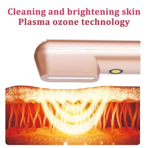 Handhold Frio Quente Ems Remoção Remoção Ion Rejuvenescimento Beleza Dispositivo Cuidados com a pele Plasma Beauty Instrument
