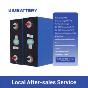 Baterai LiFePO4 CATL <span class=keywords><strong>3</strong></span>.2V 314Ah Grade A yang Stabil, Sel LFP Isi Ulang untuk Sistem Tenaga Surya, Penyimpanan Energi Rumah, Cadangan Daya - Product Image 6