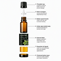 Ensemble de 12 Huiles Parfumées 10ml en Verre Ambré pour Diffuseur et Humidificateur – Idéal Cadeau et Vente en Gros