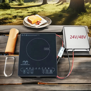 Nuovissimo Fornello a Induzione Solare DC Singolo 24V 48V a Batteria con Design da Incasso o da Tavolo per Uso Interno/Esterno per Hotel per il Mercato USA - Product Image 5