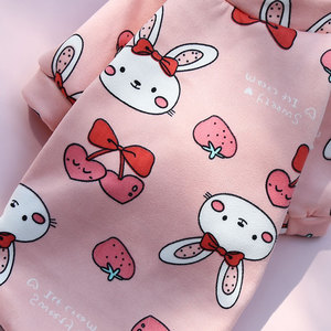 Abbigliamento Autunno Inverno per Bulldog Francese e Gatti, Felpa a Due Zampe con Motivi per Primavera, Autunno e Inverno - Product Image 5
