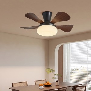 New LED 50000 - Product Image 5