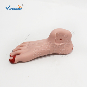 Módulo Avanzado de Evaluación de Traumas para Entrenamiento Médico de Emergencia con Múltiples Sitios de Heridas - Product Image 5