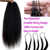 Extensions de cheveux humains 100% vierges bruts, texture Kinky Straight, pour tressage au crochet, sans nœuds, pré-séparées, texture Yaki Straight, effet plume