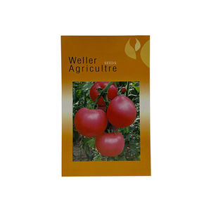 <span class=keywords><strong>Pas</strong></span> <span class=keywords><strong>cher</strong></span> personnalisé vide 12Ibs 5kg grand plastique cultures <span class=keywords><strong>graines</strong></span> sac tomate <span class=keywords><strong>graines</strong></span> emballage gros grain Crons <span class=keywords><strong>graines</strong></span> Doypack fermeture éclair sac - Product Image 2