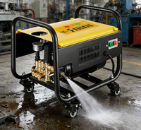 Nettoyeur haute pression mobile pour lavage de voitures, mini nettoyeur haute pression, efficacité de nettoyage élevée, directement de l'usine