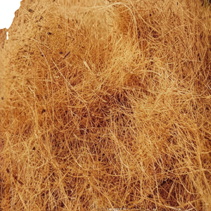 Fibra de coco natural de alta calidad para colchones, cepillos, cuerdas, esteras para cultivo, fibra de coco para mantillo, venta al por mayor de La India - Product Image 1