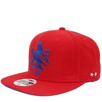 Gorra de béisbol de 6 paneles con logotipo bordado Snapback Sports Cap Flat Brim Hip Hop