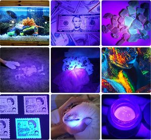 UV-Taschenlampe LED 365nm UV-Taschenlampe Schwarzlicht Wasserdichte Detektor fackel für Haustier flecken Hund Urin Katzen bett Bug Geld - Product Image 2