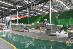Máquina Industrial de Fritura Continua de Cacahuetes y Frutos Secos, Nueva, a Gas, Precio Económico, 1 Año de Garantía, Cilíndrica, para la Elaboración de Frutos Secos Mixtos Fritos - Product Image 4