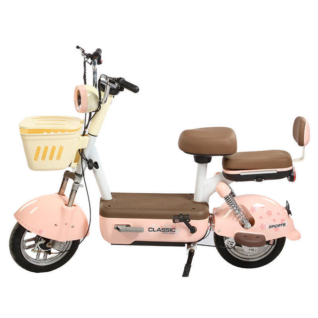 Hot Selling 2-Seat Electric City Bike 48V 12Ah 350W Rear Hub Motor Lead Acid Battery with Electric Scooter Features High Quality