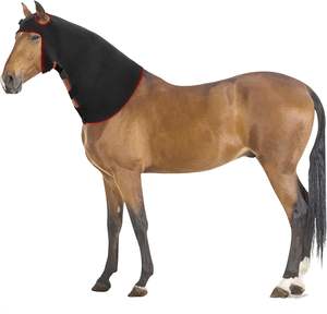 AQSHE Horse Horse Hoof a luce rossa pannello di terapia del cavallo cuscinetto per cavalli equini avvolge la batteria - Product Image 5