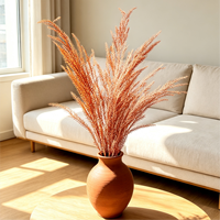 Offre Spéciale – Herbe à feuillage dentelé naturellement préservée, tiges séchées multicolores pour décoration de mariage bohème, maison et arrangements de fête
