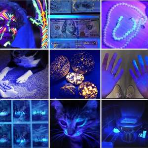 Linterna UV de Luz Negra de Alta Intensidad 365nm al por Mayor, Recargable por USB, para Detección de Orina de Mascotas, Tinea, Dinero y Minerales - Product Image 4