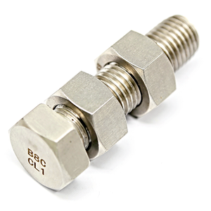 Stainless Steel <strong>M5</strong> M6 M8 M10 M12 Heavy Hex Headed Cap Screw Machine <strong>Bolt</strong> and Nuts Hex Machine Tap <strong>Bolt</strong> - Product Image 3