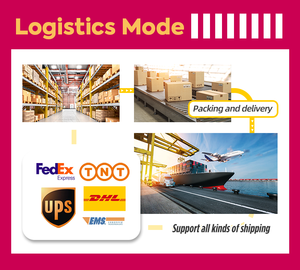 Gratis Monsters Huisdier Krat Kennel Uitgaan Reizen Op Maat Luchtvaartmaatschappij Erkende Huisdier Reisdrager Voor Kattenhonden - Product Image 6