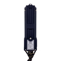 Télécommande universelle SAGA Radio Palfinger Crane F21-E1B pour hydraulique