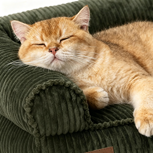 Vente flash - Lit pour animaux de compagnie en velours côtelé, canapé pour chien, canapé pour animaux de compagnie toutes saisons, pour chats et chiens de petite et grande taille - Product Image 2