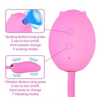 Luftdruck-Vibrator für Frauen Flexibler Tragbarer Klitoris-Sauger G-Punkt-Massagegerät Duale Stimulation Vibro-Ei Paar-Sexspielzeug