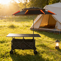 Chariot de camping pliable OEM en gros, grand format, réglable, équipé d'un parasol, plateforme en tissu épaissi, en acier, imperméable