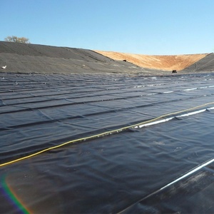 Geomembrana de HDPE para Acuicultura al por Mayor, Revestimiento Impermeable para Estanques de Piscicultura, <span class=keywords><strong>Precio</strong></span> de Fabricante de Geomembranas para Presas - Product Image 2