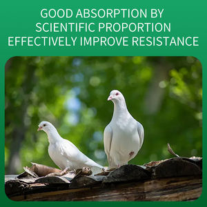 風邪と呼吸器の問題を伴うハトのための鳥の健康栄養パワー医薬品のための有用なサプリメント - Product Image 4