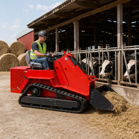 Compact Crawler Skid Steer Loader T490 0.1m3 Bucket 0-5km/h EPA/EURO5 Mini Track Loader untuk Pertanian, Kebun, dan Konstruksi