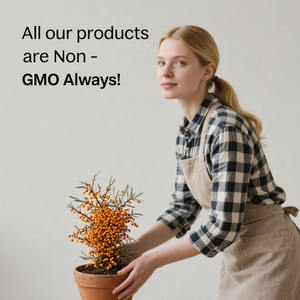 Suporte orgânico do sistema digestivo e imunológico Alto antioxidante Superfood Sea Buckthorn Berry Cápsulas - Product Image 6