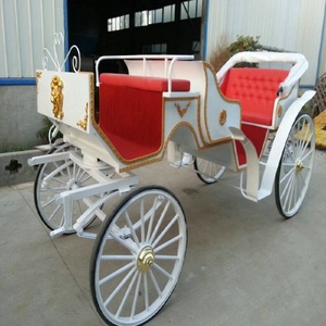 Carrozza Vittoriana Reale per Matrimoni ed Eventi Speciali - Carrozza Pieghevole a Tettuccio, Trainata da Cavalli ed Elettrica - Product Image 1