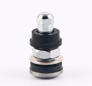 Nouvelle <span class=keywords><strong>valve</strong></span> à clipser en laiton chromé TR416B/TR5991B pour pneus, avec tous les accessoires inclus - Prix bas pour remplacement/réparation - Product Image 2