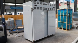 Macchina per Congelamento Rapido IQF di Carrube e Mango, Linea Industriale per Congelamento Impasti - Product Image 3