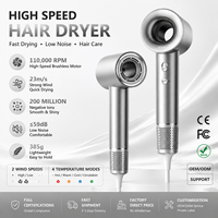 Sèche-cheveux ionique électrique professionnel haute vitesse pour salon, technologie à ions négatifs, portable pour usage domestique et extérieur, robuste