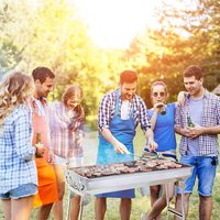 Petit barbecue portable au charbon de bois en acier inoxydable, pliable, pour la cuisson en plein air, le camping, la randonnée, les pique-niques, le jardin