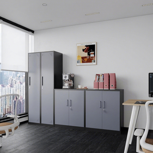 Armoire en acier à <span class=keywords><strong>porte</strong></span> simple de style moderne avec serrure, casier métallique pour la maison, l'hôpital, l'école - Product Image 5