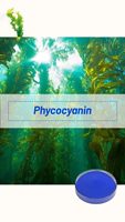 Extrait de spiruline bleue 100% naturel, poudre de phycocyanine E6, E10, E18, E25, E30, E40