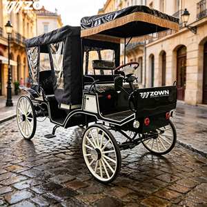 Voiture de tourisme électrique double fonction, chariot de luxe royal pour événements extérieurs, transport pour mariages et défilés en station balnéaire, à vendre - Product Image 1