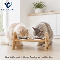 Mangeoire double en bois pour animaux de compagnie, inclinable et réglable, pour chat et chien, vente en gros
