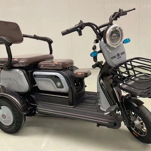 China Cheap Adult Electric Tricycle 3 Wheeler Electric Vehicle Tricycle for <b>2</b> People - Product Image 2