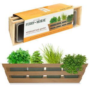 Kit de démarrage de mini-jardin d'intérieur pour légumes et herbes aromatiques (<span class=keywords><strong>Basilic</strong></span>, Persil, Ciboulette, Coriandre) avec substrat <span class=keywords><strong>en</strong></span> fibres végétales - Product Image 1