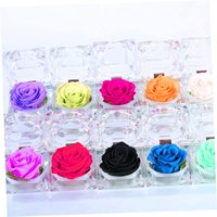 Boîte acrylique bricolage bonsaï éternel fleurs roses durables fleurs roses immortelles conservées