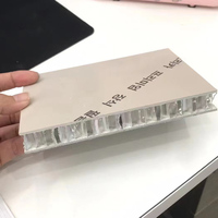 Remplissage de porte écologique Meubles de porte d'armoire Fabricant de noyau en nid d'abeille en aluminium Personnalisation du traitement des grandes plaques