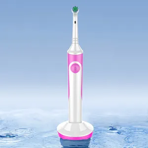 Private Label Sonic Smart Automatic Chargeable Tooth Brush Design Electric Auto Toothbrush